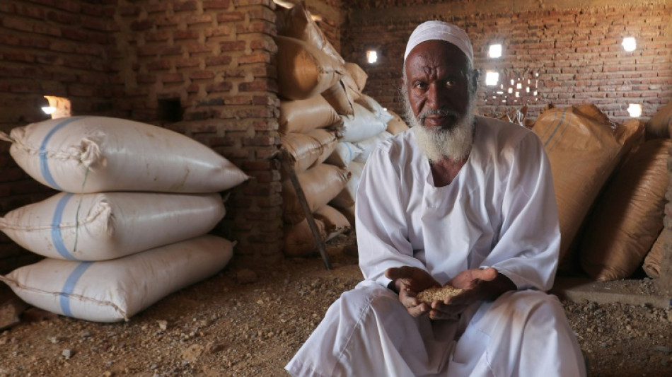 Au Soudan, pénurie de blé mais les agriculteurs peinent à écouler leurs récoltes 