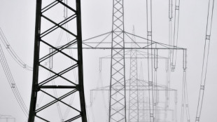 Klagen gegen &Uuml;bernahme von Eon-Kraftwerken durch RWE scheitern vor EuGH