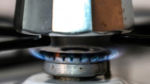 Habeck fordert einstimmige Einigung bei Gaspreisdeckel