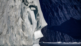 Dinamarca desarrolla "IcyAlert", una herramienta para predecir veranos sin hielo en el &Aacute;rtico