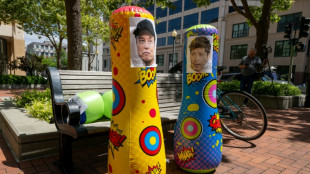 Medo e ressentimento: a viol&ecirc;ncia contra figuras da IA