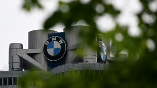 Bavarian village opens way for key BMW factory