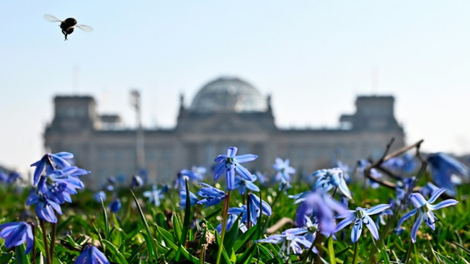 Bundestag ber&auml;t &uuml;ber Gesetz zu Schutz von Betriebsr&auml;ten