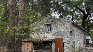 Il Tribunale dei minori, 'sul caso famiglia del bosco toni aggressivi'