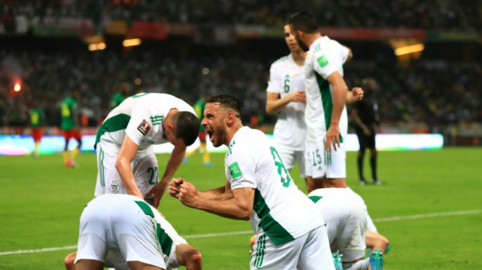 Mondial-2022: Maroc, Alg&eacute;rie et Tunisie prennent l'avantage