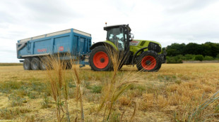 Landwirte erwarten dieses Jahr weniger Getreide und Raps