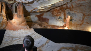 Cosquer: une r&eacute;plique du "Lascaux sous-marin" s'ouvre samedi &agrave; Marseille