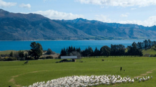 Climat: en Nouvelle-Z&eacute;lande, un combat judiciaire contre la "pens&eacute;e magique"