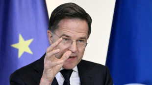 NATO chief says a joint plan to end Ukraine war would 'test' Putin