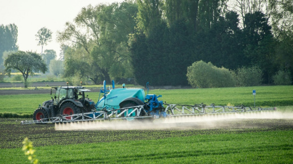 Pesticides: un rapport souligne la réalité de la contamination de l'environnement