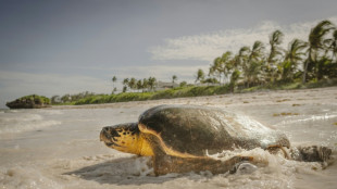 Dirigentes mundiales se re&uacute;nen en Niza para abordar las amenazas sobre los oc&eacute;anos
