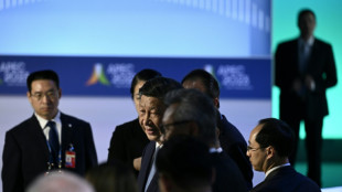 Xi says China must protect foreign firms' rights, intellectual property