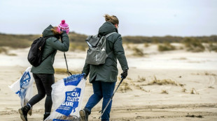 Dutch divers still haul up debris six years after container spill