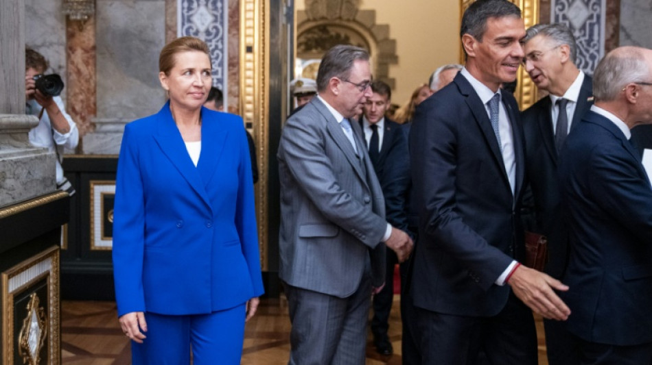 Mehr als 40 L&auml;nder Europas treffen sich zu Gipfel in Kopenhagen