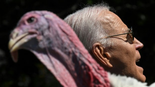 'Mantenha a calma e continue grugulejando', diz Biden em &uacute;ltimo perd&atilde;o a peru de A&ccedil;&atilde;o de Gra&ccedil;as