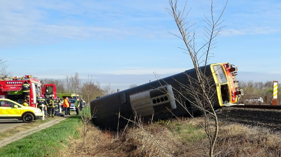 Cinco muertos en una colisi&oacute;n entre un tren y un veh&iacute;culo en Hungr&iacute;a
