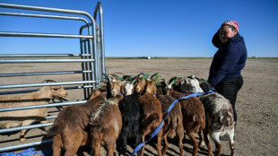 Face &agrave; l'avanc&eacute;e du d&eacute;sert, les &eacute;leveurs nomades de Mongolie se tournent vers la technologie