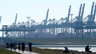 Mehrj&auml;hrige Haftstrafen f&uuml;r Schmuggel von halber Tonne Kokain &uuml;ber Bremerhaven