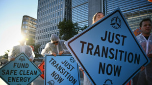 G20 reafirma su compromiso de abandonar los combustibles f&oacute;siles