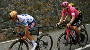 Tour de France: le Belge Remco Evenepoel abandonne lors de la 14e étape
