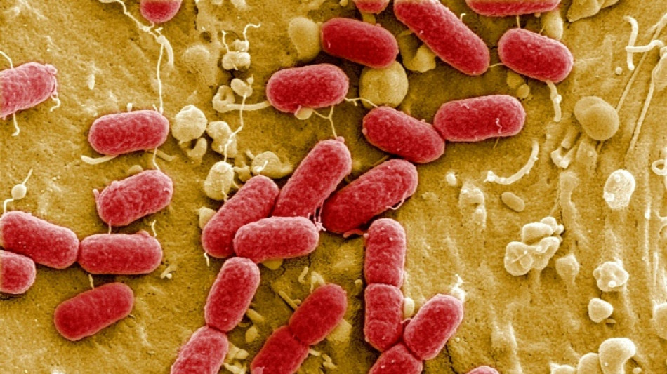 UN-Bericht: Superbakterien breiten sich auch wegen Umweltverschmutzung weiter aus