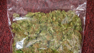 Halbe Tonne Cannabis per Onlineversand: Ermittler zerschlagen Drogenh&auml;ndlerring