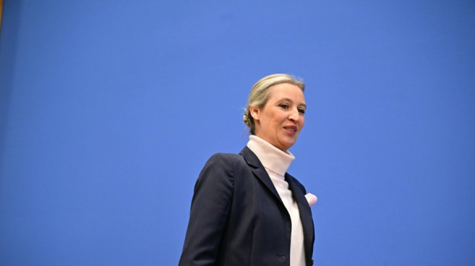 Weidel sieht AfD bestens aufgestellt f&uuml;r Sieg bei n&auml;chster Wahl