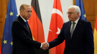 Le président allemand arrivé en Turquie pour une visite compliquée