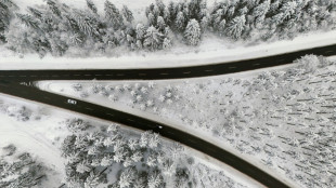Alerte neige et verglas en Allemagne, les transports au ralenti