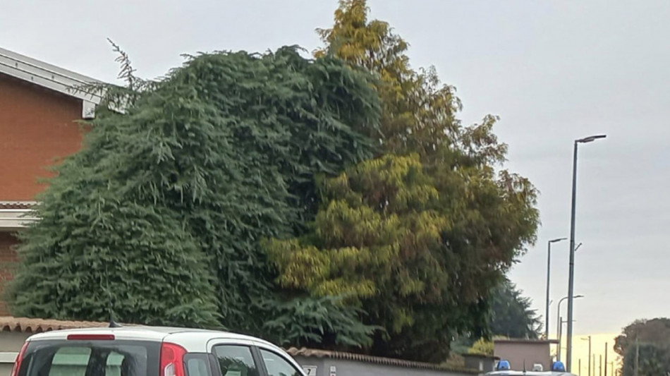 Spara alla moglie malata e si uccide nel Novarese