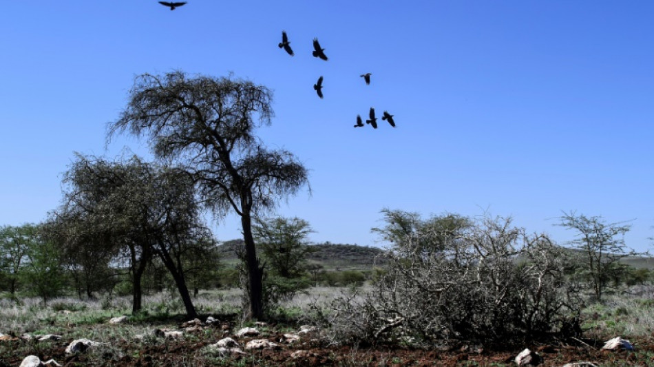 "Nunca ha habido tanto en juego" en la lucha contra el cambio clim&aacute;tico (expertos de la ONU)