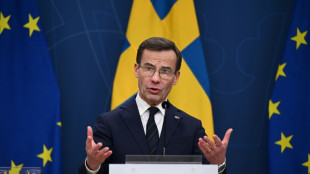 Stockholm: Entsendung westlicher Soldaten in die Ukraine "im Moment überhaupt kein Thema"