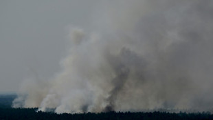 Feuerwehr macht Fortschritte bei L&ouml;schen von Gro&szlig;brand im Berliner Grunewald