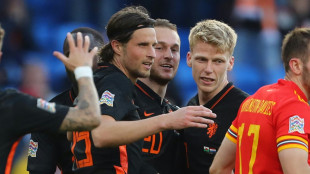 Niederlande holen zweiten Sieg, Belgien schl&auml;gt Polen