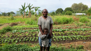 Aux &Icirc;les Salomon, les bombes de la Seconde Guerre mondiale continuent de tuer