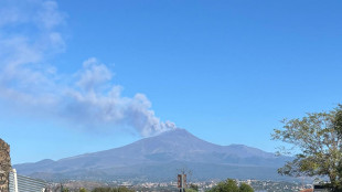 Sospesi di nuovo voli a Catania per la cenere dall'Etna, stop fino alle 15