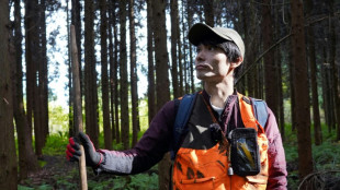 'Almost every day': Japan battles spike in bear attacks