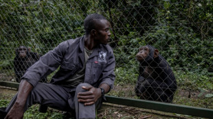 La reserva de Lwiro, un oasis para primates traumatizados en la RDC
