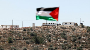 Amnistía Internacional publicará informe sobre política de "apartheid" de Israel