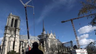 Cinq choses &agrave; red&eacute;couvrir sur Notre-Dame de Paris