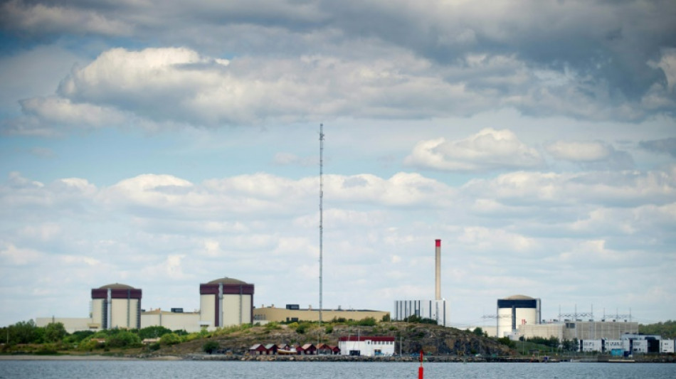 Sweden probes drone flights over nuclear plants