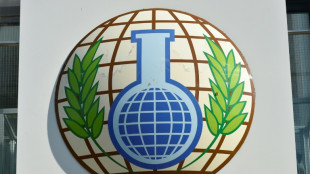 OPAQ: destruição de armas químicas declaradas no mundo terminará nas próximas semanas