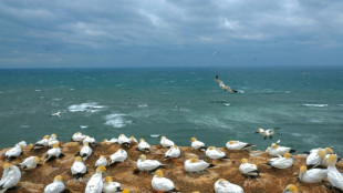 Man&ouml;vrierunf&auml;higer Frachter l&ouml;st Notfalleinsatz vor Helgoland aus