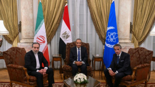 El canciller iran&iacute; se reunir&aacute; en Egipto con el jefe del organismo nuclear de la ONU