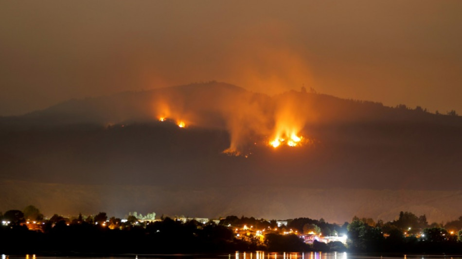 Incendies au Chili: couvre-feu d&eacute;cr&eacute;t&eacute; dans les zones les plus touch&eacute;es 