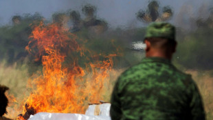 Pr&eacute;-candidatos republicanos dos EUA disparam contra cart&eacute;is de drogas no M&eacute;xico