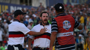 McIlroy spat adds spice to Ryder Cup climax
