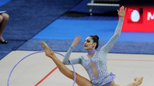 Dub&aacute;i libera a la exesposa de un sobrino del emir detenida por un conflicto familiar