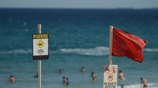 'Large shark' kills man off Sydney beach