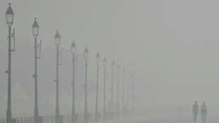 Giftiger Smog in Neu Delhi: Grundschulen bleiben eine Woche länger geschlossen